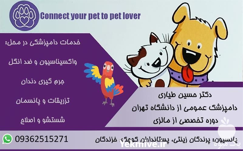 خدمات دامپزشکی در منزل در تهران در گروه مشاوره دام و طیور - دامداری دامپزشکی دام شبانه روزی حیوانات در یکمیوه -عکس1