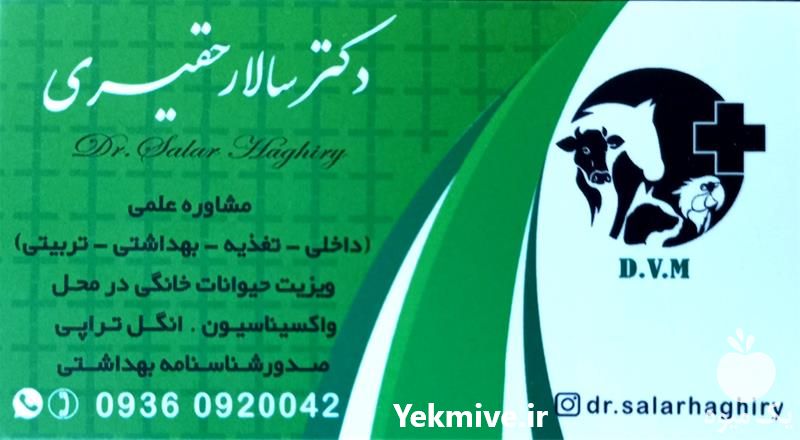 ویزیت حیوانات خانگی در تهران در گروه سگ و گربه _ نگهبان هاسکی ژرمن دوبرمن سرابی در یکمیوه -عکس1