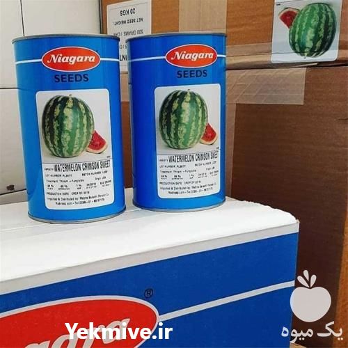 فروش بذر هندوانه نیاگارا در کرمان  در گروه خرید فروش بذر - انواع محصول کشاورزی گوجه کتان میوه درخت در یکمیوه -عکس1
