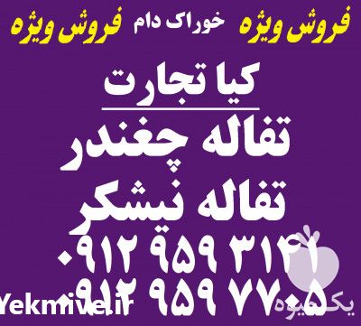 فروش تفاله چغندر قند در تهران در گروه خوراک دام و طیور - پرواری شیری علوفه یونجه در یکمیوه -عکس1