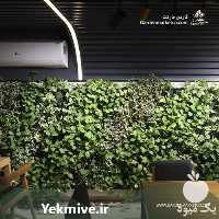 فروش دیوار سبز در تهران در گروه سمپاشی - خدمات باغ محصولات کشاورزی در یکمیوه