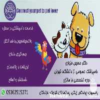 خدمات دامپزشکی در منزل در تهران در گروه مشاوره دام و طیور - دامداری دامپزشکی دام شبانه روزی حیوانات در یکمیوه