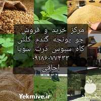 فروش جو در همدان در گروه خرید فروش عمده گندم و جو - بلغور شیرازی فروش عمده محصول کشاورزی در یکمیوه