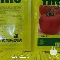 فروش عرضه بذر گوجه فرنگی طلا در یزد در گروه خرید فروش بذر - انواع محصول کشاورزی گوجه کتان میوه درخت در یکمیوه