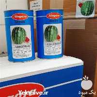 فروش بذر هندوانه نیاگارا در کرمان  در گروه خرید فروش بذر - انواع محصول کشاورزی گوجه کتان میوه درخت در یکمیوه