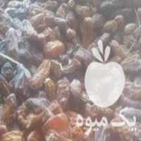 خریدار ضایعات دامی خرما در نیک شهر در گروه خرید فروش عمده خرما - کبکاب تازه زاهدی خشک خارک در یکمیوه