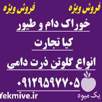 فروش گلوتن ذرت در تهران در گروه خوراک دام و طیور - پرواری شیری علوفه یونجه در یکمیوه