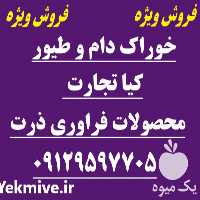 فروش فراورده های ذرت در تهران در گروه خوراک دام و طیور - پرواری شیری علوفه یونجه در یکمیوه