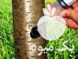 فروش کود تزریق مستقیم مواد مغذی به تنه درخت در تهران در گروه خرید فروش کود و مواد شیمیایی - اوره پتاس مرغی کمپوست آهن در یکمیوه -عکس1