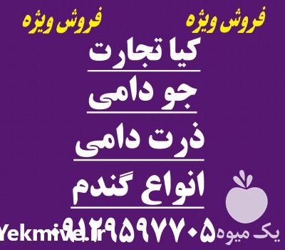 فروش جو در تهران در گروه خرید فروش عمده گندم و جو - بلغور شیرازی فروش عمده محصول کشاورزی در یکمیوه -عکس1