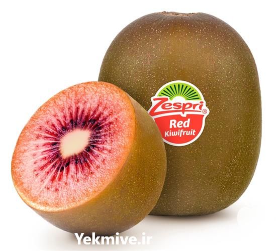 فروش نهال کیوی نژاد توسرخ در مازندران در گروه خرید فروش نهال - انواع گردو پسته بادام سلطانی انگور در یکمیوه -عکس1