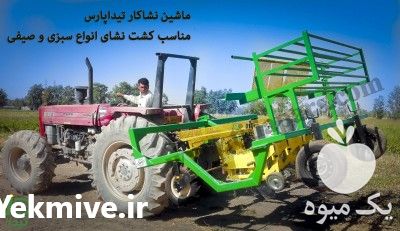 فروش نشاکار مزرعه تیدا پارس در تهران در گروه خرید فروش نشا - انواع گوجه برنج کاهو پیاز کاری فرنگی در یکمیوه -عکس1