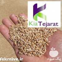 فروش گندم در تهران در گروه خرید فروش عمده گندم و جو - بلغور شیرازی فروش عمده محصول کشاورزی در یکمیوه
