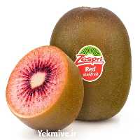 فروش نهال کیوی نژاد توسرخ در مازندران در گروه خرید فروش نهال - انواع گردو پسته بادام سلطانی انگور در یکمیوه