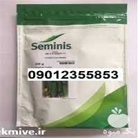 فروش بذر خیار n 2 با کیفیت در اصفهان در گروه خرید فروش بذر - انواع محصول کشاورزی گوجه کتان میوه درخت در یکمیوه