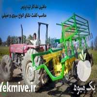 فروش نشاکار مزرعه تیدا پارس در تهران در گروه خرید فروش نشا - انواع گوجه برنج کاهو پیاز کاری فرنگی در یکمیوه