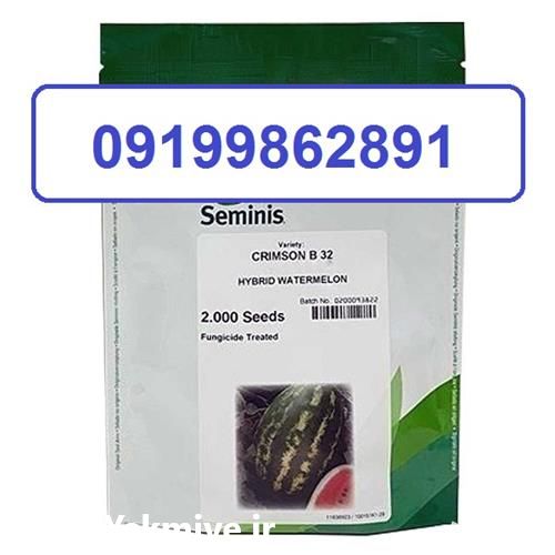 فروش بذر هندوانه بی 32 در همدان در گروه خرید فروش بذر - انواع محصول کشاورزی گوجه کتان میوه درخت در یکمیوه -عکس1