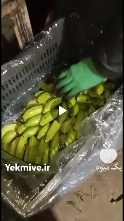 فروش موز سبز پاکستان در تهران در گروه خرید فروش عمده موز - زرد سبز پاکستان چیکیتا اکوادوور در یکمیوه -عکس1