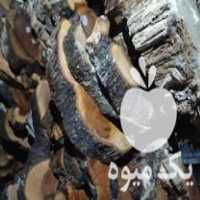 فروش کالباسی و اسلب چوب در بوشهر در گروه خرید فروش عمده چوب- زغال چوب گردو تبریزی خام در یکمیوه