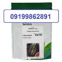 فروش بذر هندوانه بی 32 در همدان در گروه خرید فروش بذر - انواع محصول کشاورزی گوجه کتان میوه درخت در یکمیوه