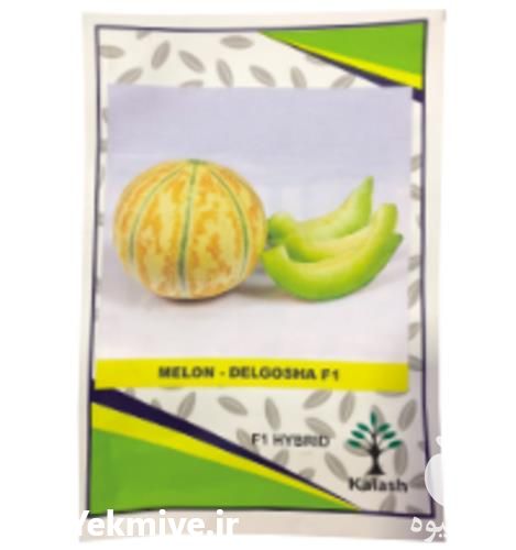 فروش بذر ملون شاهپسند در کرمان  در گروه خرید فروش بذر - انواع محصول کشاورزی گوجه کتان میوه درخت در یکمیوه -عکس1