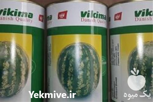 فروش بذر هندوانه ویکی ما در کرمان  در گروه خرید فروش بذر - انواع محصول کشاورزی گوجه کتان میوه درخت در یکمیوه -عکس1