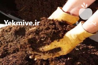 کود گوسفندی اعلا خشک کود گوسفندی در اسلامشهر در گروه خرید فروش کود و مواد شیمیایی - اوره پتاس مرغی کمپوست آهن در یکمیوه -عکس1