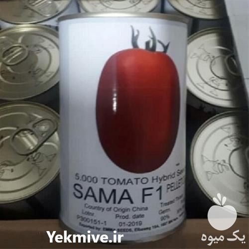 فروش بذر گوجه فرنگی سما در کرمان  در گروه خرید فروش بذر - انواع محصول کشاورزی گوجه کتان میوه درخت در یکمیوه -عکس1