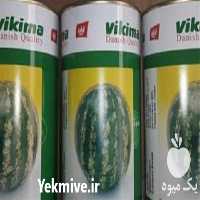 فروش بذر هندوانه ویکی ما در کرمان  در گروه خرید فروش بذر - انواع محصول کشاورزی گوجه کتان میوه درخت در یکمیوه