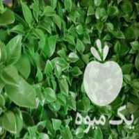 فروش دیوار سیز یا گرین وال در تهران در گروه سازنده - گلخانه باغ مدرن سالن صنعتی سوله انبار در یکمیوه