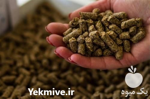 فروش دان مرغ و بوقلمون در تهران در گروه مرغ و خروس و بوقلمون و اردک قو قاز در یکمیوه -عکس1