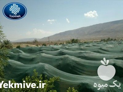 فروش توری ضد سرما ضد سرمازدگی در تهران در گروه خرید فروش تجهیزات گلخانه - صنعتی خانگی هوشمند دست دوم در یکمیوه -عکس1