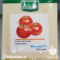 فروش بذر گوجه فرنگی موناکو در تهران در گروه خرید فروش بذر - انواع محصول کشاورزی گوجه کتان میوه درخت در یکمیوه