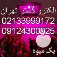 فروش لامپ رشد گیاه کلوین دار در تهران در گروه خرید فروش تجهیزات گلخانه - صنعتی خانگی هوشمند دست دوم در یکمیوه