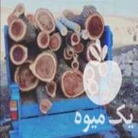 خرید و فروش انواع چوب درخت در شاهین دژ در گروه خرید فروش عمده چوب- زغال چوب گردو تبریزی خام در یکمیوه