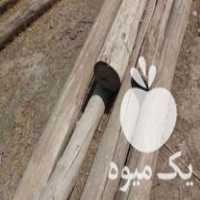 خریدار چوب کهنه و ضایعات در شوط در گروه خرید فروش عمده چوب- زغال چوب گردو تبریزی خام در یکمیوه