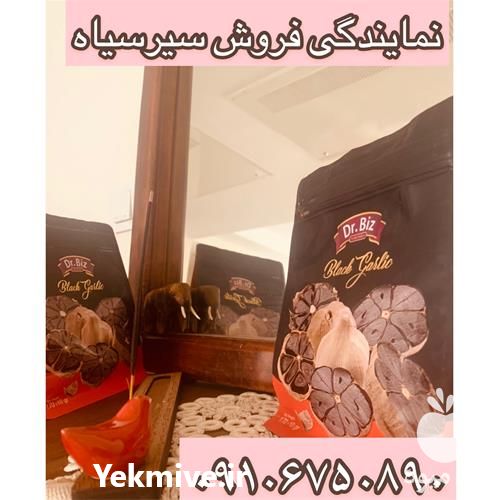 فروش سیر سیاه اصل دکتر بیز در تهران در گروه خرید فروش عمده سیر - تازه خام ترشی خشک صادراتی در یکمیوه -عکس1