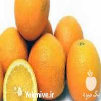 فروش نهال پرتقال بیروتی در ساری در گروه خرید فروش نهال - انواع گردو پسته بادام سلطانی انگور در یکمیوه