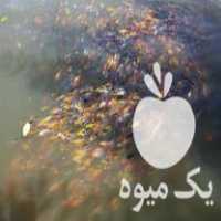 فروش ماهی قرمز کوی روغنی در رشت در گروه انواع ماهی - سالمون شیر کپور قرمز شوریده سفید گوپی مرکب در یکمیوه