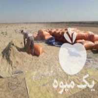فروش کاه خرد شده گندم در اراک در گروه خوراک دام و طیور - پرواری شیری علوفه یونجه در یکمیوه