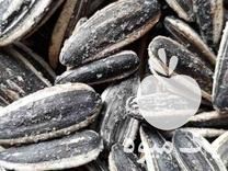 فروش تخمه بازار تخمه در شیراز در گروه خرید فروش عمده آفتابگردان - تخمه خوی دیم گل در یکمیوه -عکس1