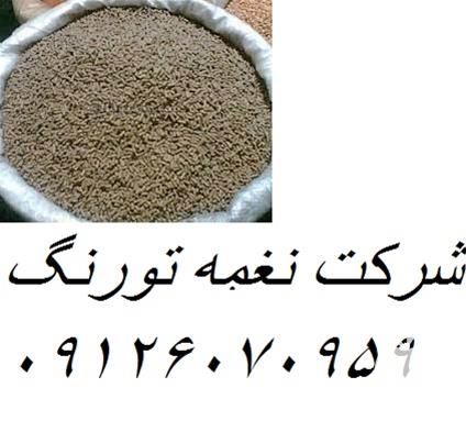 فروش استارتر بوقلمون در تهران در گروه مرغ و خروس و بوقلمون و اردک قو قاز در یکمیوه -عکس1