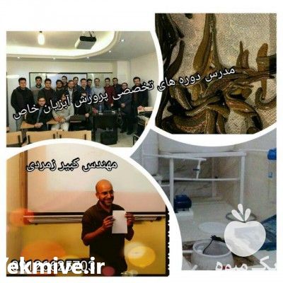 انجام طرح توجیهی پرورش زالو در تهران در گروه مشاوره - راه اندازی بازاریابی کسب درآمد بهبود کسب و کار در یکمیوه -عکس1