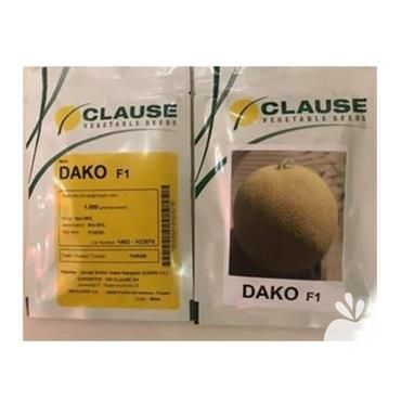 فروش بذر خربزه داکو در تهران در گروه خرید فروش بذر - انواع محصول کشاورزی گوجه کتان میوه درخت در یکمیوه -عکس1