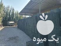 فروش سبد سیب 12 کیلویی در مراغه در گروه خرید فروش انواع سبد - میوه پلاستیکی چوبی گل در یکمیوه -عکس1