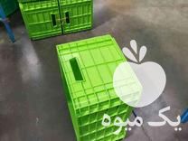 فروش سبد فلفل دلمه در اصفهان در گروه خرید فروش انواع سبد - میوه پلاستیکی چوبی گل در یکمیوه -عکس1