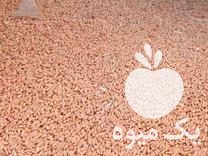 فروش گندم آبی پیشگام در کرمانشاه در گروه خرید فروش عمده گندم و جو - بلغور شیرازی فروش عمده محصول کشاورزی در یکمیوه -عکس1
