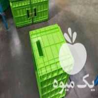 فروش سبد فلفل دلمه در اصفهان در گروه خرید فروش انواع سبد - میوه پلاستیکی چوبی گل در یکمیوه