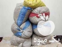 فروش پسته کله قوچی در مشهد در گروه پسته - کوهی شامی خام اکبری تازه کله قوچی در یکمیوه -عکس1