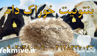 فروش بنتونیت خوراک دام در تهران در گروه خوراک دام و طیور - پرواری شیری علوفه یونجه در یکمیوه -عکس1